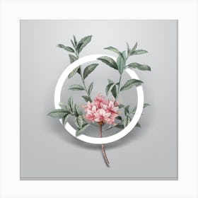 Vintage Azalea Minimalist Floral Geometric Circle on Soft Gray n.0096 Canvas Print