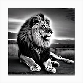 Lionnnn Canvas Print