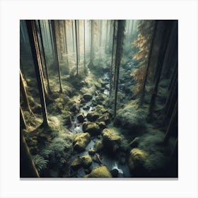 Mossy Forest 5 Canvas Print