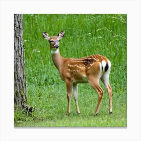 Deer Buck Doe Antlers Herbivore Mammal Graceful Elegant Wildlife Forest Meadow Grazing A (2) Canvas Print