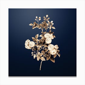 Gold Botanical Pink Baby Roses on Midnight Navy n.0531 Canvas Print