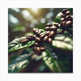 Coffee Beans - Coffee Stock Videos & Royalty-Free Footage Canvas Print