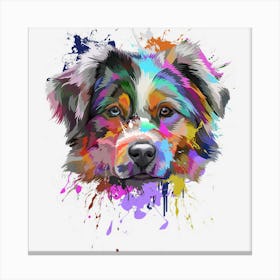 Splash Art Australian Shepherd Aussie Lover Gifts Canvas Print