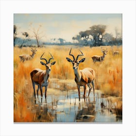 Antelopes In Water Canvas Print