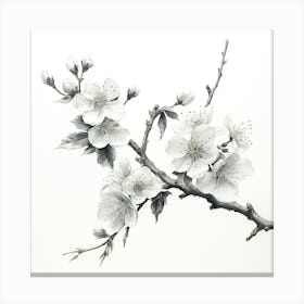 Ink Cherry Blossoms Branches 9 Canvas Print