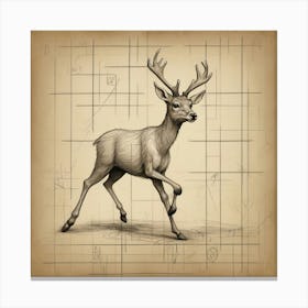 Deer! 20 Canvas Print