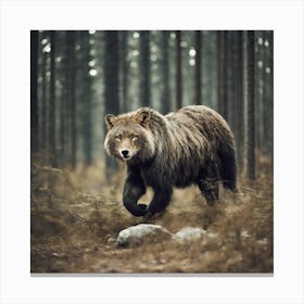 Brown Bear In The Forest 1 Canvas Print