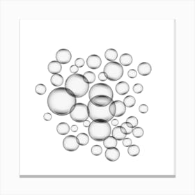 Bubbles On A White Background Canvas Print