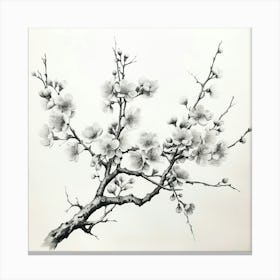 Ink Cherry Blossoms Branches 5 Canvas Print