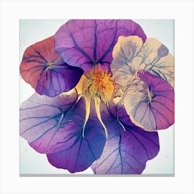 Purple Pansy Flower Canvas Print