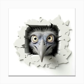 Vulture Canvas Print