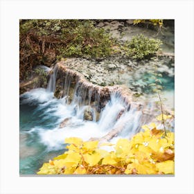 Turquoise Water Yellow Leaves Square Canvas Print