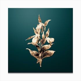Gold Botanical Sabot des Alpes on Dark Teal Canvas Print