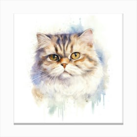 Scottish Fold Longhair Cat Portrait 2 Canvas Print