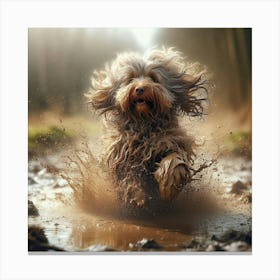 Dog Running In Mud 3 Canvas Print