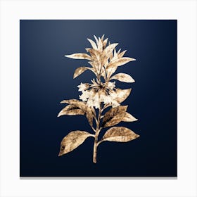 Gold Botanical Chinese New Year Flower on Midnight Navy n.1524 Canvas Print