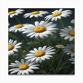 Daisies 2 Canvas Print