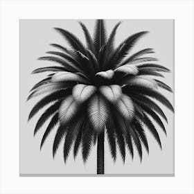 Palm Tree 4 Canvas Print