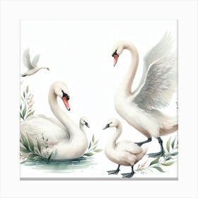 Swans 17 Canvas Print