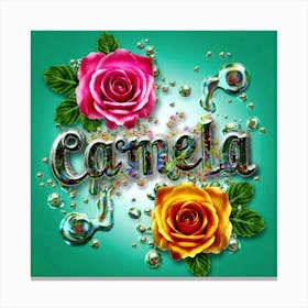 5i63usjwqxiwltt8lazwca Canvas Print