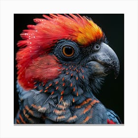 Cockatoo 20 Canvas Print