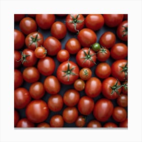 Ripe Tomatoes 3 Canvas Print