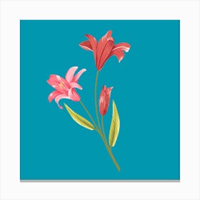 Pink Lilies 2 Canvas Print