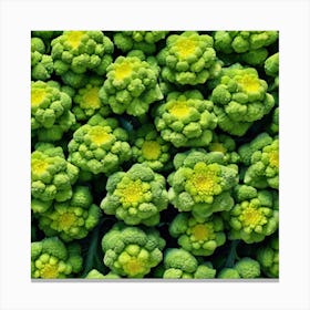 Green Broccoli 1 Canvas Print