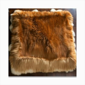 Leather And Fur On A Table Canvas Print
