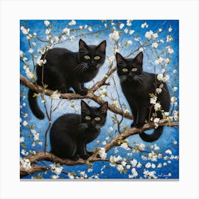 Black Cats In Blossom Canvas Print