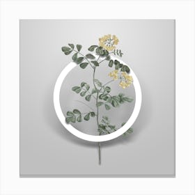 Vintage Scorpion Vetch Plant Minimalist Flower Geometric Circle on Soft Gray n.0365 Canvas Print