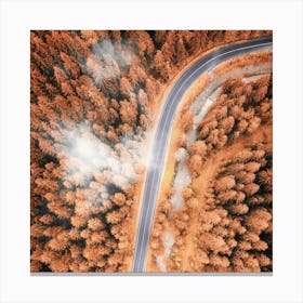 Aerial View Of A Pine Forest Road in Autumn Canvas Print