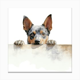 Australian Cattle Dog 4 Canvas Print