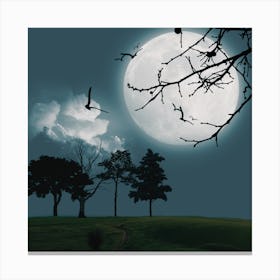 Full Moon In The Sky Canvas Print