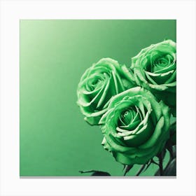 Green Roses 20 Canvas Print