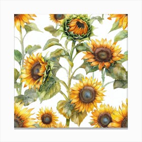 Sunflowers 16 Canvas Print