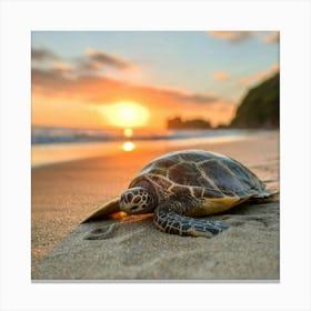 Sea Turtle At Sunset Canvas Print