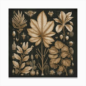 A Vintage Style Botanical design Canvas Print