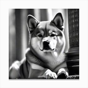 Shiba Inu 11 Canvas Print