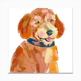 Labradoodle 02 Canvas Print