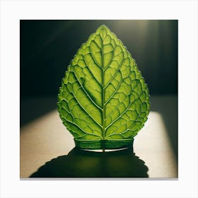 Green Leaf Canvas Print