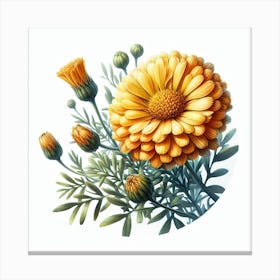 Flower of African marigold 1 Canvas Print