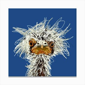 Messy Emu Canvas Print