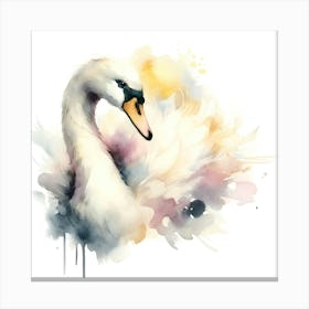 Watercolor Swan Canvas Print