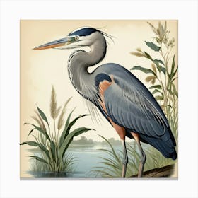 Default Vintage Audubon 1 Great Blue Heron Art 1 Canvas Print