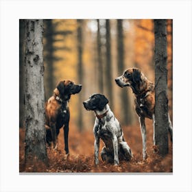 Three Dogs In The Woods Canvas Print