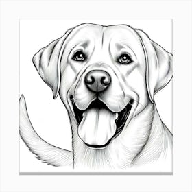 Line Art labrador dog 3 Canvas Print