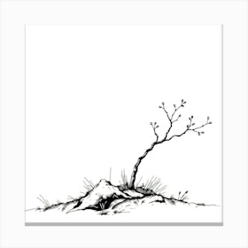 Lone Tree 12 Canvas Print