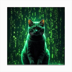 Cat In Front Of Matrix Canvas Print