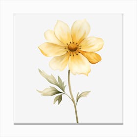 Yellow Flower 1 Canvas Print